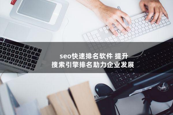 seo快速排名软件(提升搜索引擎排名助力企业发展)